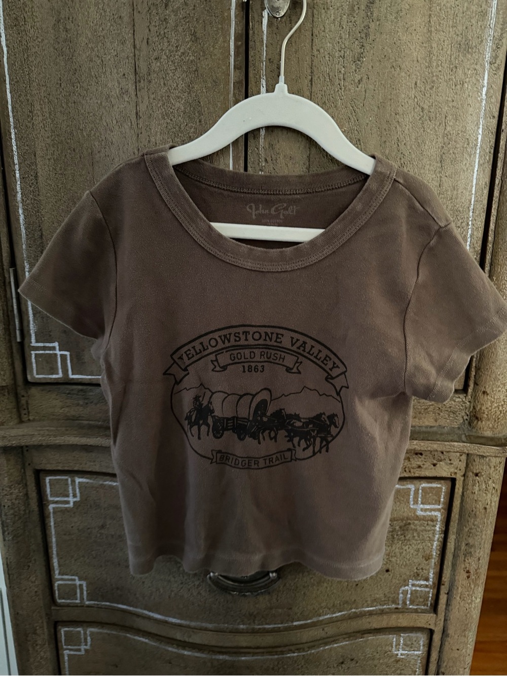 Brandy Melville Brown Yellowstone Valley Graphic Tee